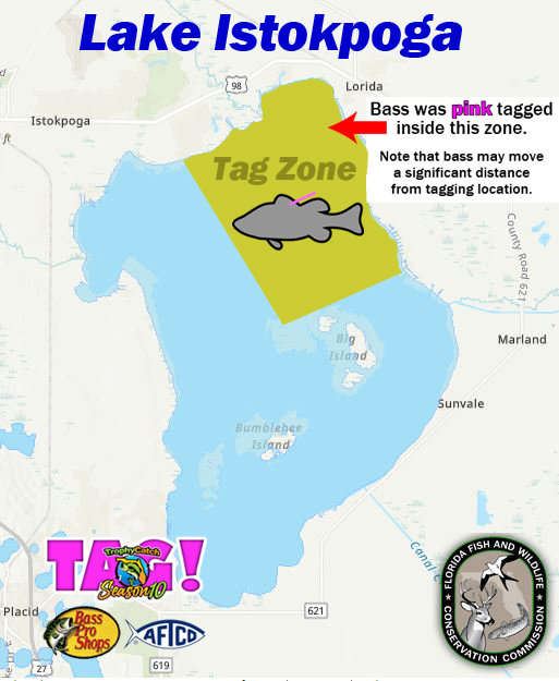 One of the tagged fish was released in Lake Istokpoga. {Art courtesy FWC]